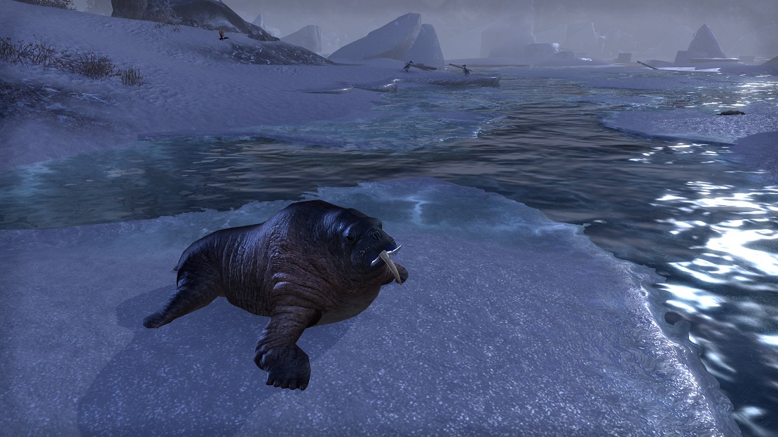 Mephala's Coven Wildlife